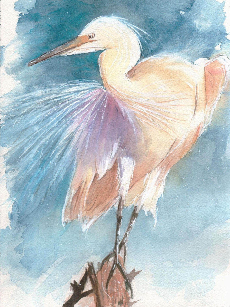 Egret