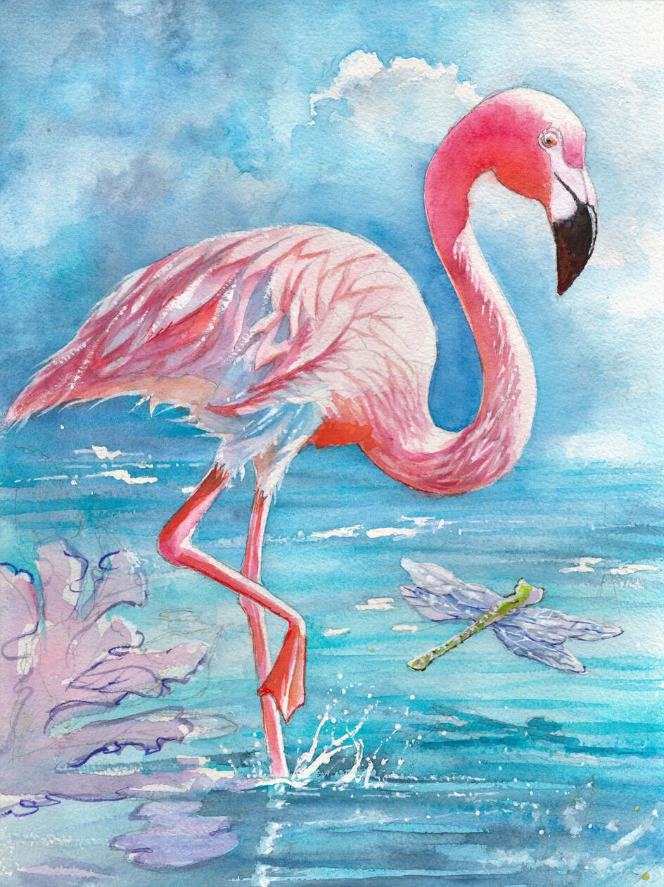 Flamingo